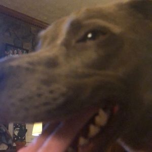 Meet your Posher, Mary